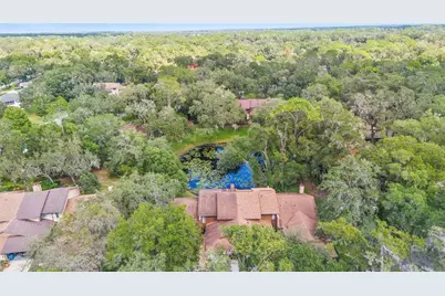 920 Shady Branch Trail, Deland, FL 32724 - Photo 8