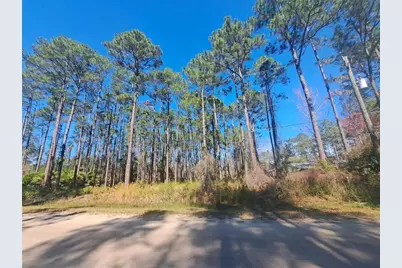 5146 Lime Avenue, Bunnell, FL 32110 - Photo 1