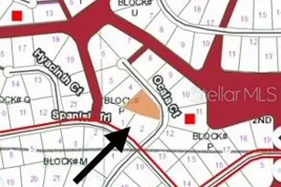 207 Ocala Ct, Georgetown, FL 32139 - Photo 1