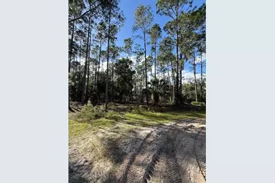 215 Hideaway Lane, Georgetown, FL 32139 - Photo 2