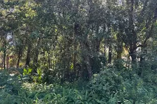 Beau Ct, Orange City, FL 32763 - Photo 1