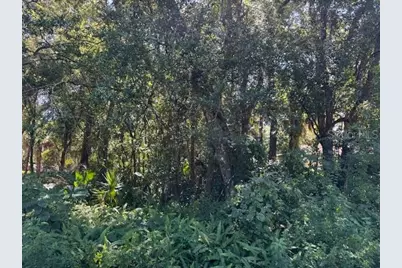 Beau Court, Orange City, FL 32763 - Photo 2