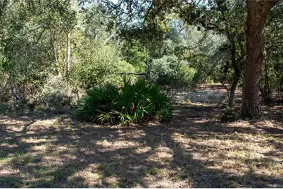 47110 Central Avenue, Paisley, FL 32767 - Photo 20