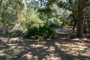 47110 Central Ave, Paisley, FL 32767 - Photo 20