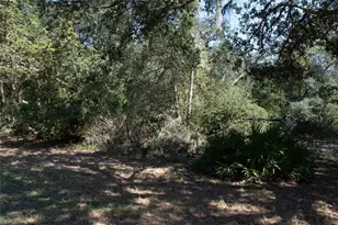 47110 Central Ave, Paisley, FL 32767 - Photo 22