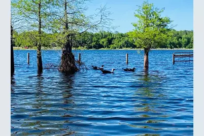 1210 Gem Lane, Lake Helen, FL 32744 - Photo 62