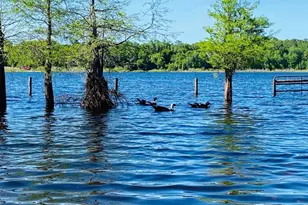 1210 Gem Ln, Lake Helen, FL 32744 - Photo 62