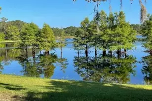 1210 Gem Ln, Lake Helen, FL 32744 - Photo 72