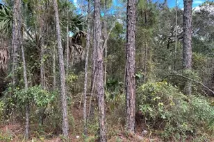 12th Ave, Deland, FL 32724 - Photo 1