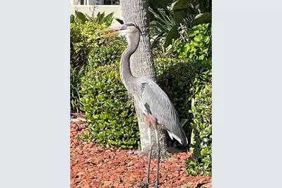 2801 N Halifax Avenue #146, Daytona Beach, FL 32118 - Photo 42