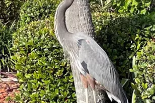 2801 N Halifax Ave, Daytona Beach, FL 32118 - Photo 42