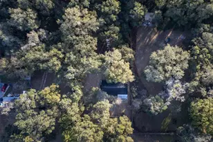 16325 SE 134th Ct, Weirsdale, FL 32195 - Photo 24