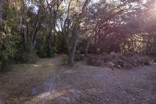 16325 SE 134th Ct, Weirsdale, FL 32195 - Photo 22