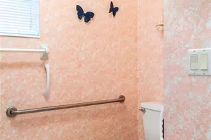 2420 Pine Tree Cir Dr, Orange City, FL 32763 - Photo 34