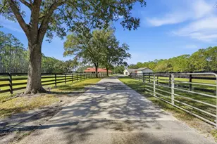 460 Spring Forest Dr, New Smyrna Beach, FL 32168 - Photo 2