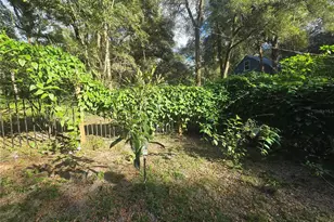 940 W Minnesota Ave, Orange City, FL 32763 - Photo 76