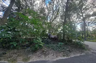 940 W Minnesota Ave, Orange City, FL 32763 - Photo 44