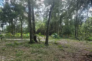 940 W Minnesota Ave, Orange City, FL 32763 - Photo 68