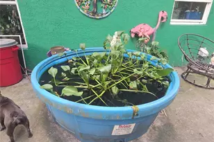 940 W Minnesota Ave, Orange City, FL 32763 - Photo 34