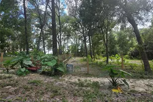 940 W Minnesota Ave, Orange City, FL 32763 - Photo 30