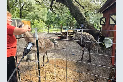 940 W Minnesota Avenue, Orange City, FL 32763 - Photo 66