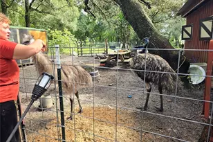 940 W Minnesota Ave, Orange City, FL 32763 - Photo 66