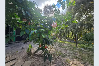 940 W Minnesota Avenue, Orange City, FL 32763 - Photo 72