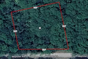 Maytown Rd, Oak Hill, FL 32759 - Photo 1