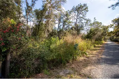 625 Lake Butler Avenue, Osteen, FL 32764 - Photo 16