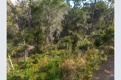 625 Lake Butler Avenue, Osteen, FL 32764 - Photo 14