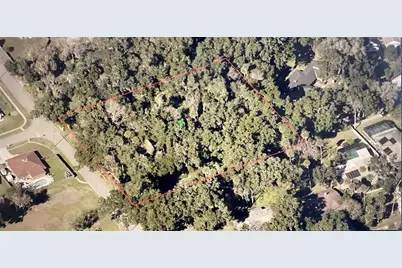 Pepper Hill Road, Port Orange, FL 32129 - Photo 4