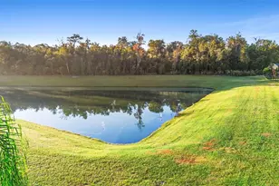 2106 Havasu Falls Dr, Deland, FL 32724 - Photo 10