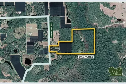 Shaw Lake Road, Pierson, FL 32180 - Photo 2