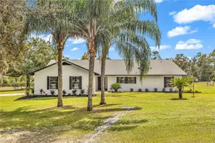 209 Oakapple Trail, Lake Helen, FL 32744 - Photo 2