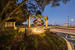30118 Cheval St, Mount Dora, FL 32757 - Photo 36