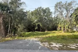 1502 Carver St, Deland, FL 32720 - Photo 4