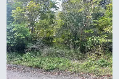 131 Lake Mamie Road, Deland, FL 32724 - Photo 4