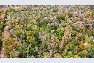 1100 Maytown Road, Oak Hill, FL 32759 - Photo 6