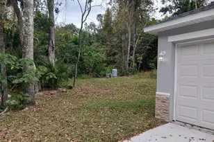 5373 Park Ave, De Leon Springs, FL 32130 - Photo 4
