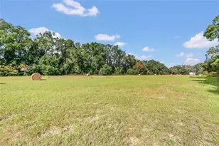 1801 W Hwy 329, Citra, FL 32113 - Photo 26