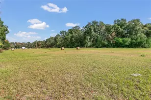 1801 W Hwy 329, Citra, FL 32113 - Photo 24