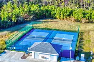 354 Caryota Ct, New Smyrna Beach, FL 32168 - Photo 24