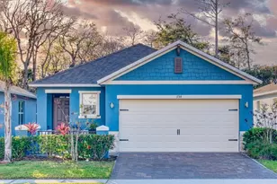 354 Caryota Ct, New Smyrna Beach, FL 32168 - Photo 1