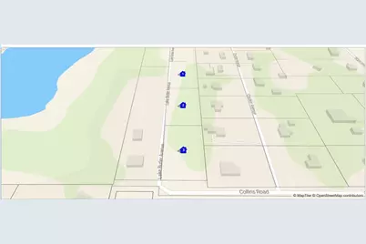 615 Lake Butler Avenue, Osteen, FL 32764 - Photo 2