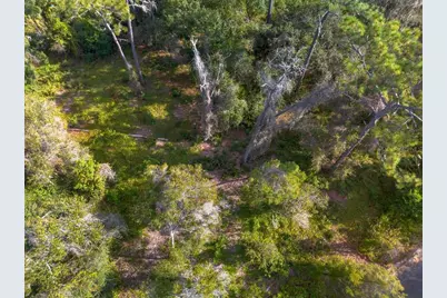 615 Lake Butler Avenue, Osteen, FL 32764 - Photo 10