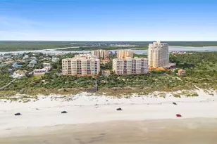 265 Minorca Beach Way, New Smyrna Beach, FL 32169 - Photo 30