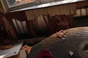 27721 Nancy Ave, Paisley, FL 32767 - Photo 26