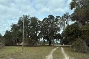 29605 Fullerville Rd, Deland, FL 32720 - Photo 2