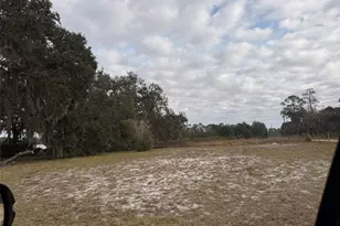 29605 Fullerville Rd, Deland, FL 32720 - Photo 4