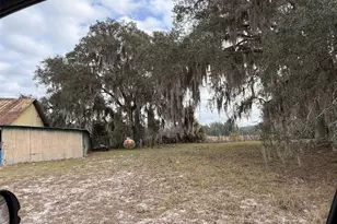 29605 Fullerville Rd, Deland, FL 32720 - Photo 12